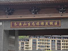 -齐岳山
