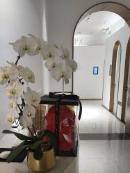 -Dr.U博士医疗美容医院