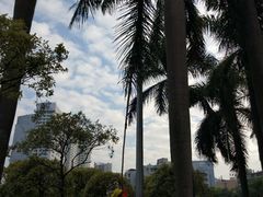 -东风公园