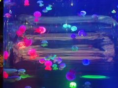 -北海·海洋之窗