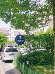 -复旦大学附属妇产科医院(杨浦院区)