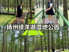 -渌洋湖湿地公园