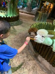 -宝燕乐园(闵行旗舰店)