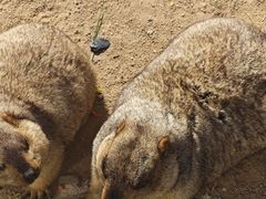 -茅山东方盐湖城景区