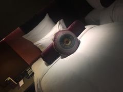 -南京禄口机场雅高铂尔曼大酒店