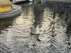 -北京市海淀外国语实验学校