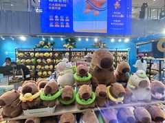 -凯德MALL(西直门店)