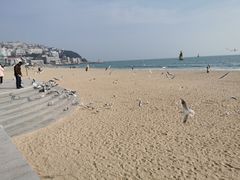-海云台海滩