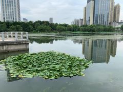 -后襄河公园