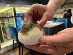 -肆月河豚·新淮扬(金融街店)