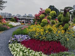 -海心沙亚运公园