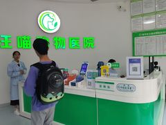 -汪喵宠物医院·骨科心脏影像·犬猫急重症ICU诊疗中心(成华分院)