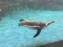 -常州海昌海洋探索馆