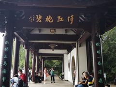 -西湖游船