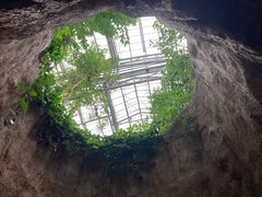 -南山植物园