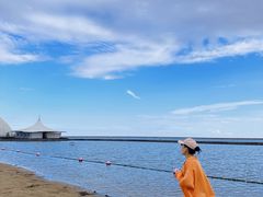 -碧海金沙