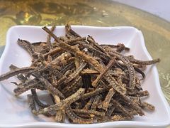 -乐山第一家临江鳝丝(茶坊路店)