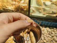 -五月罗马海鲜自助餐厅(陆家嘴店)