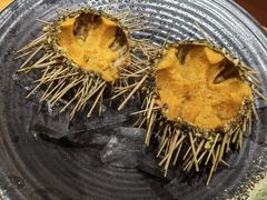 -月龍吟(朝龙汇店)
