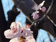 -瀛海足球主题公园