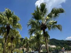 -重庆海昌加勒比海水世界