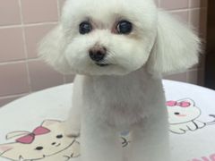 -FAELING PETS美天灵宠物(富力广场店)