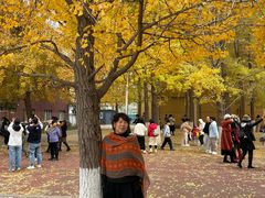 -辽宁大学(崇山校区)