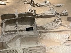 -洛阳周王城天子驾六博物馆