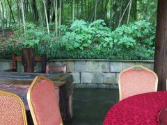 -西院1号(龙井店)