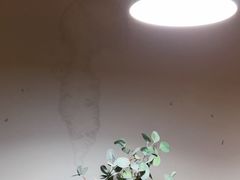 -梵猫·新养生(湛江鼎盛店)