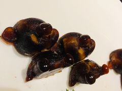 -甄御•海鲜新青岛菜(麦岛店)