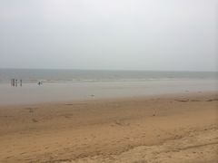 -日照海滨国家森林公园
