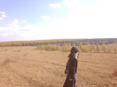 -塞罕坝国家级自然保护区