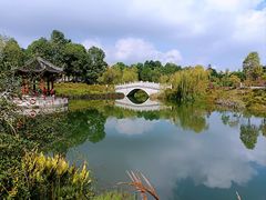 -眉山湿地公园(东坡区)