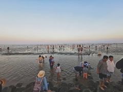 -南汇嘴观海公园