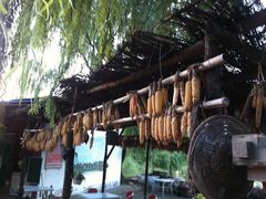 -顺鑫绿色度假村