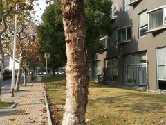 -同济大学(嘉定校区)