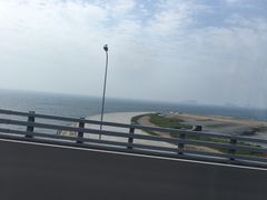 -星海湾跨海大桥