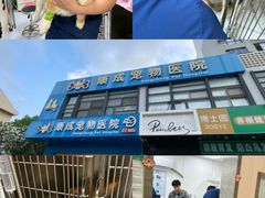 -康成宠物医院24H·CT·核磁共振