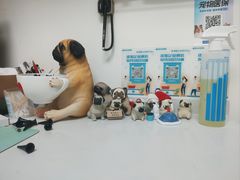 -美联众合动物医院·24h转诊中心