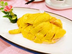白斩鸡-鑫鑫大酒店(共和新路店)