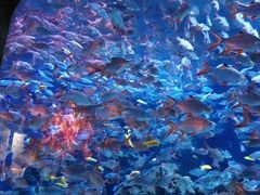 -成都浩海立方海洋公园