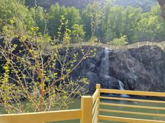 -百里山水画廊乌龙峡谷