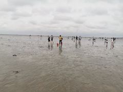 -南汇嘴观海公园