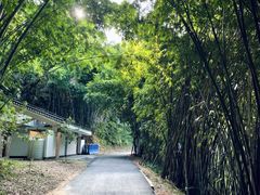 -广州市白云山风景名胜区