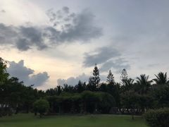 -万绿园