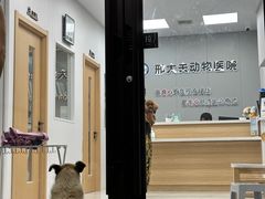 -邢大夫动物医院