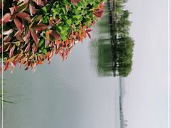 -南湖国家城市湿地公园