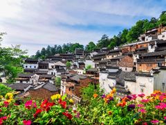 -婺源风景区