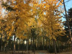 -中家鑫园温泉酒店鑫悦汤泉